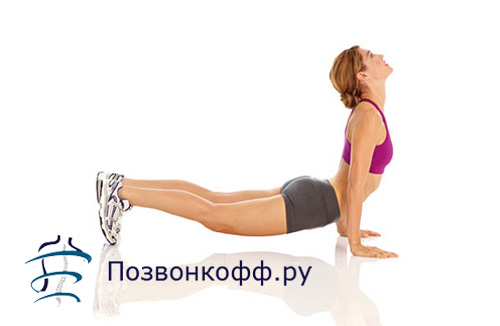 Во Имя Жизни - m Вертебровитология - что это за метод лечения?