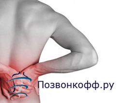Как лечить лихорадку у собак