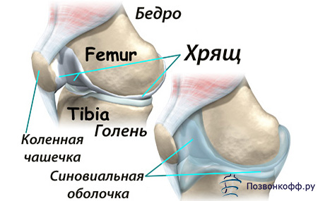 Болит нога в стопе лечение